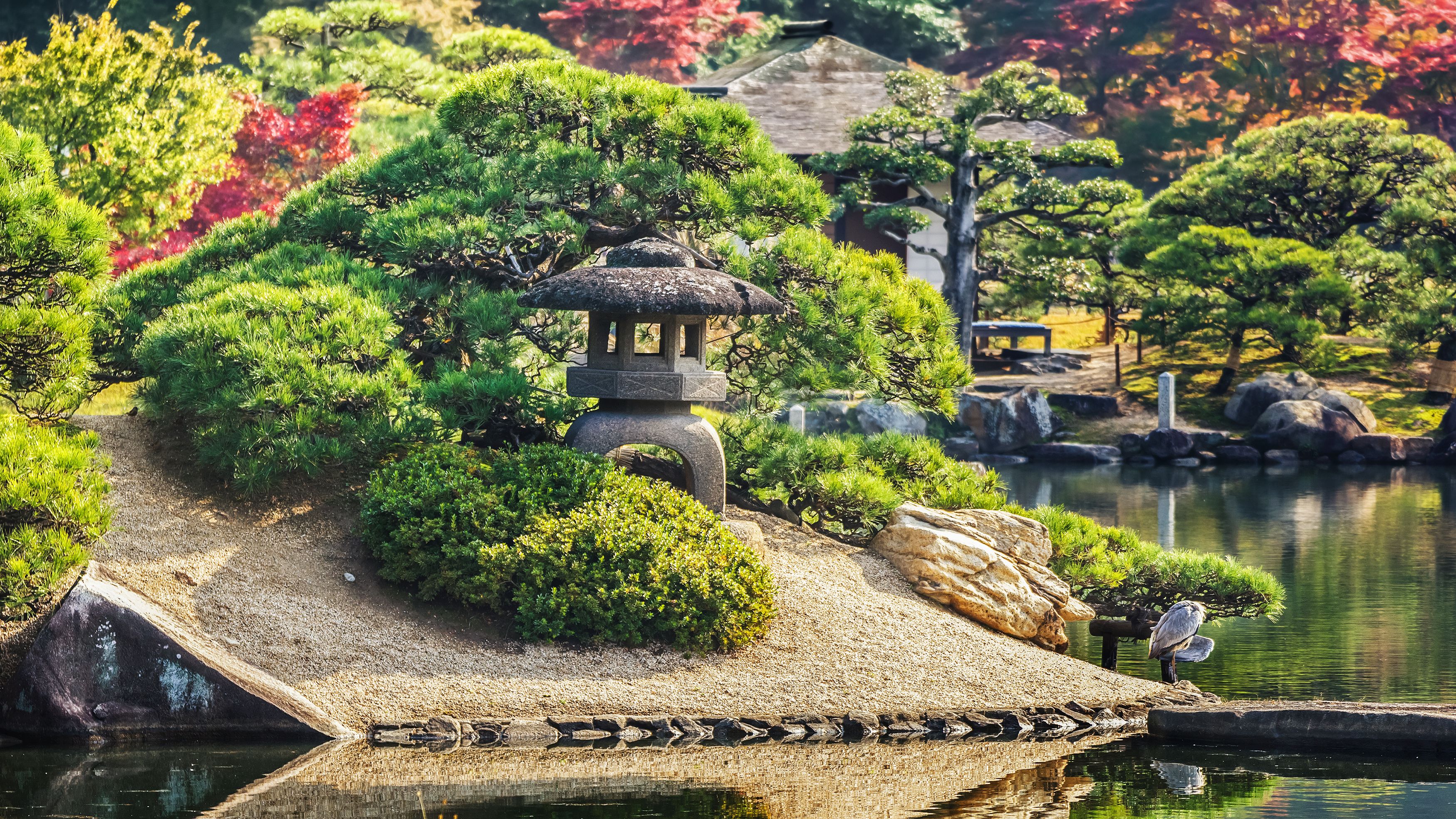 A serene Japanese garden with a stone lantern, lush greenery, a pond, and a traditional building in the background.
