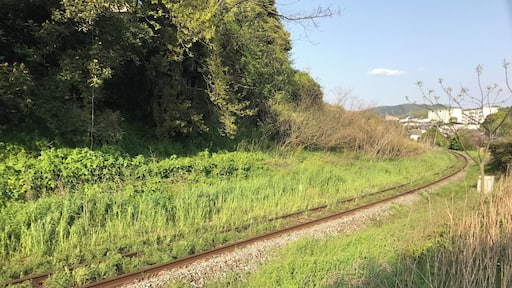 ไธ้ดจ็-็ญๅๅบๅ
้ใฎๅพ่คๅฏบ็ท