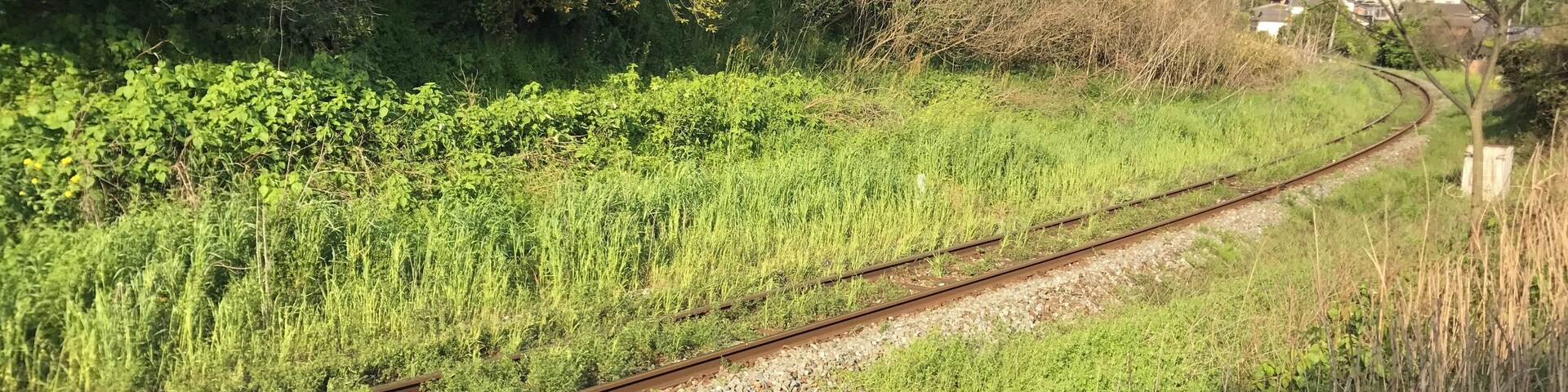 äžéŽšç-çććșć
éăźćŸè€ćŻșç·