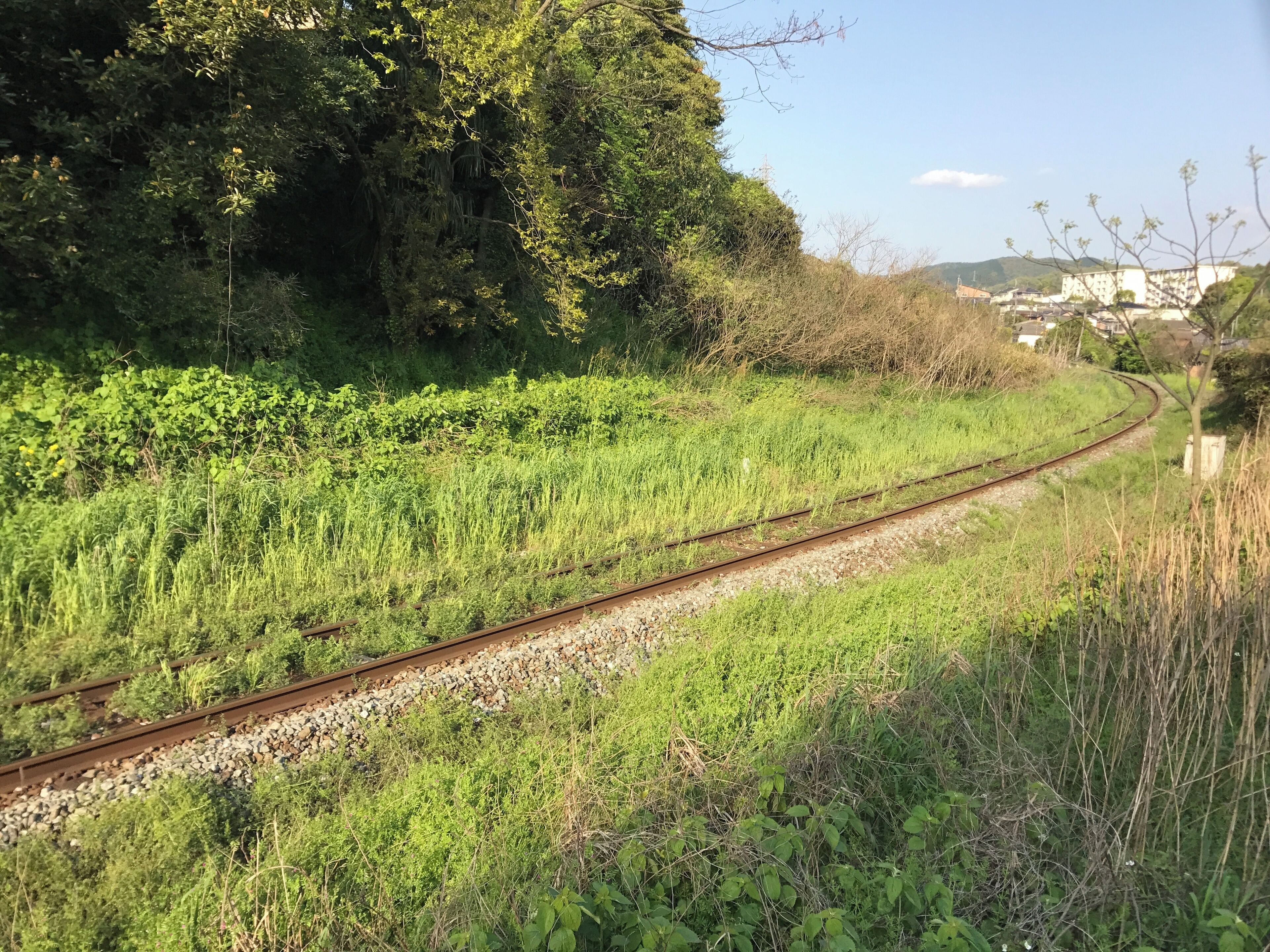 A railway track curving through a lush green landscape with dense foliage and a building in the background.