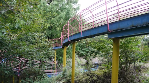 西ノ原中央公園