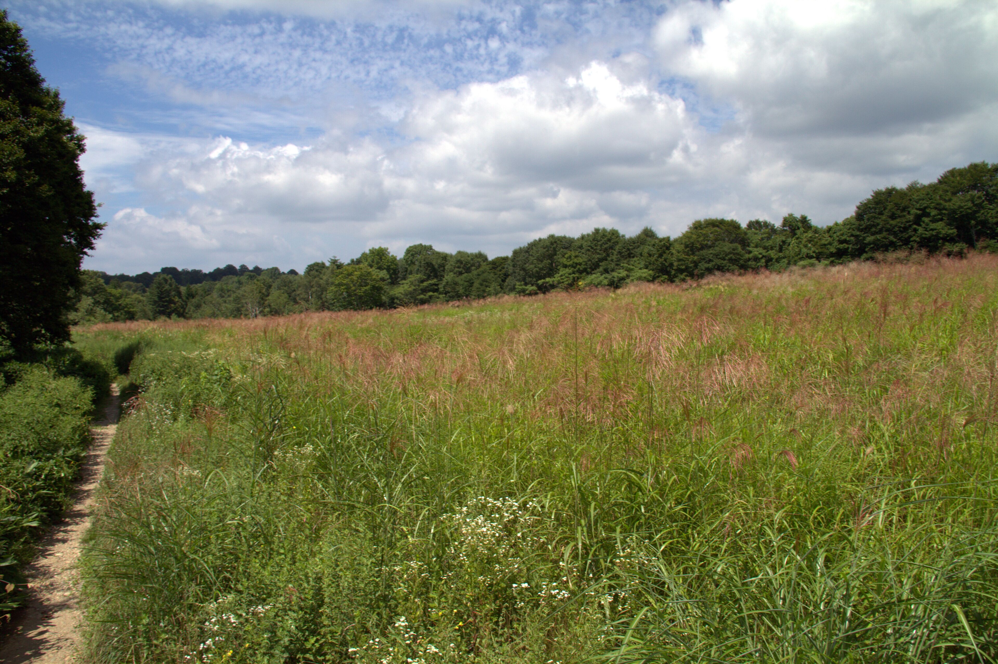 Oashi, Showa, Onuma District, Fukushima Prefecture 968-0214, Japan