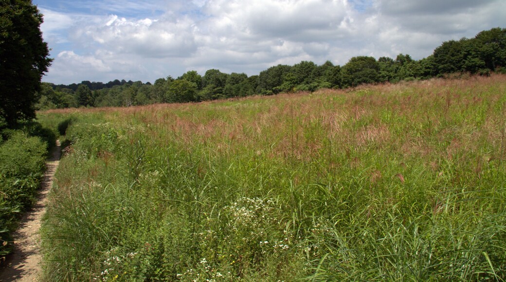 Oashi, Showa, Onuma District, Fukushima Prefecture 968-0214, Japan