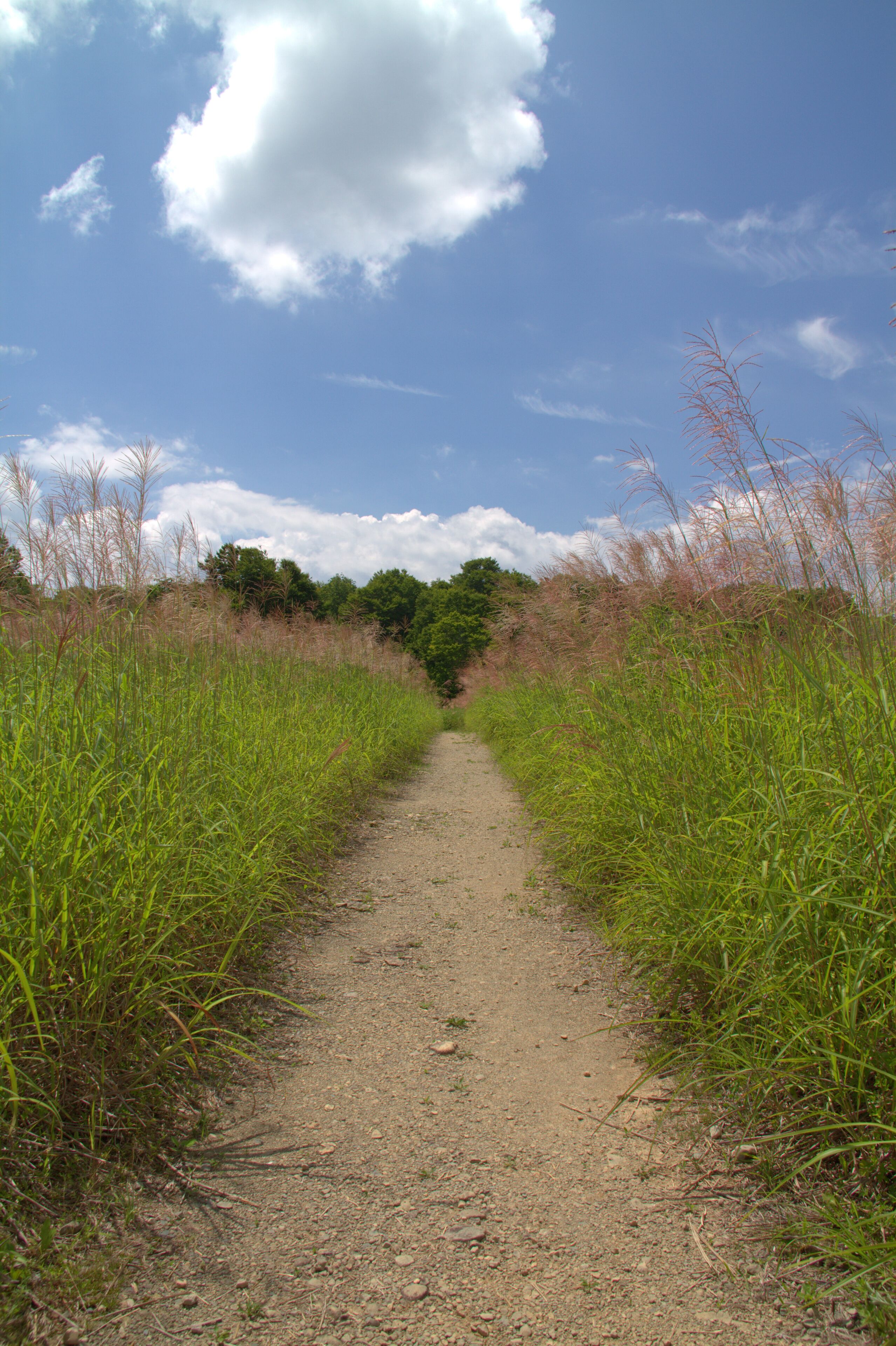 Oashi, Showa, Onuma District, Fukushima Prefecture 968-0214, Japan