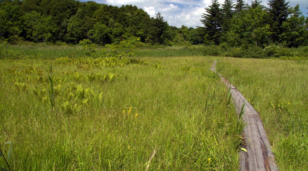 Oashi, Showa, Onuma District, Fukushima Prefecture 968-0214, Japan