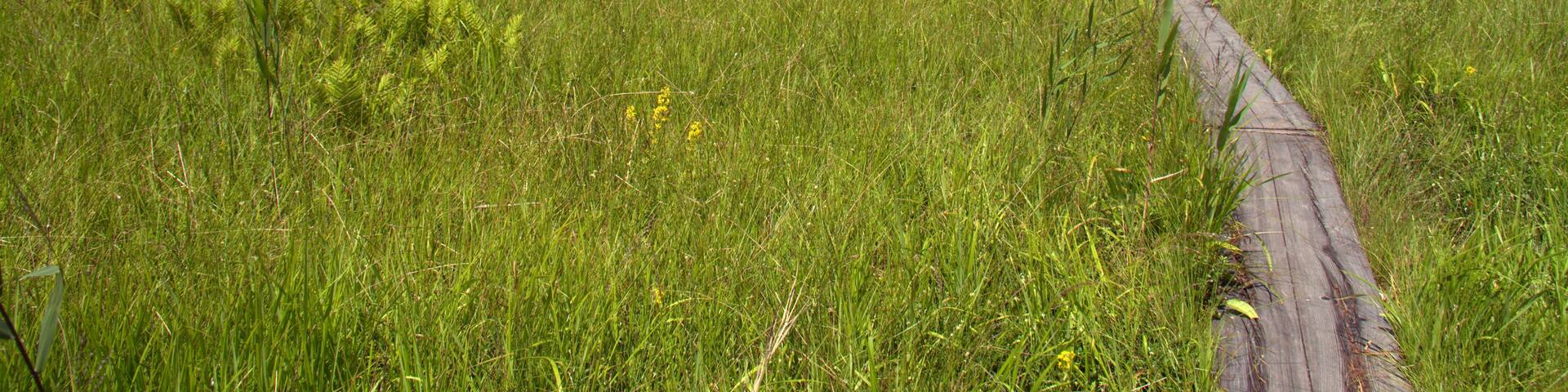 Oashi, Showa, Onuma District, Fukushima Prefecture 968-0214, Japan