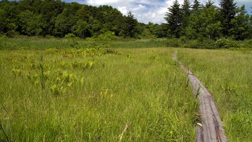 Oashi, Showa, Onuma District, Fukushima Prefecture 968-0214, Japan