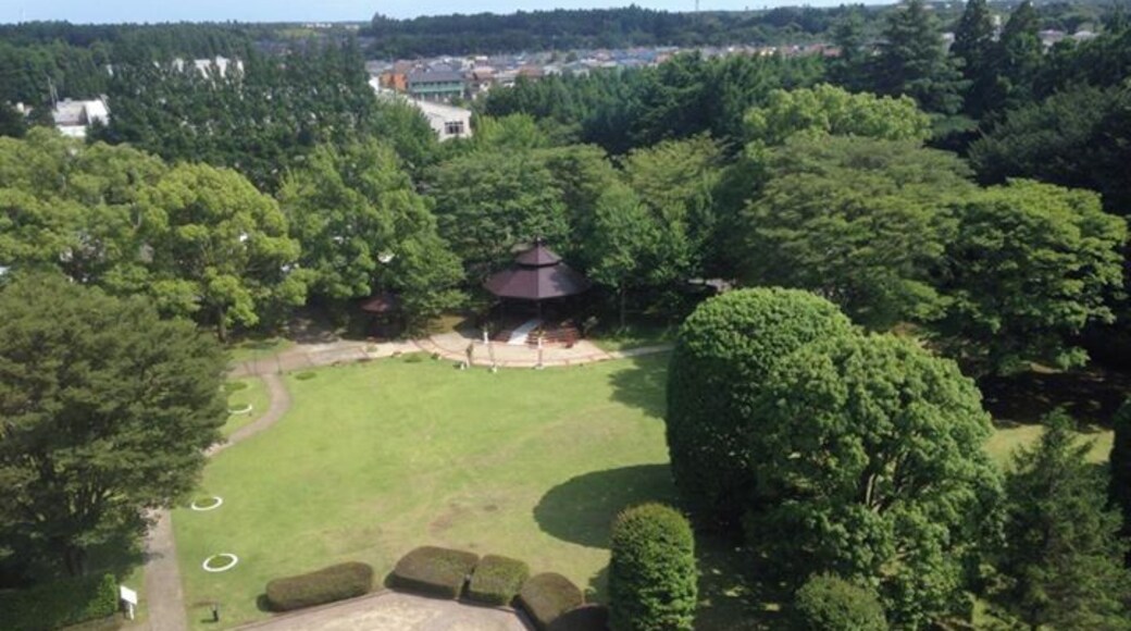 Made it to Toyko. Stayed at The Radisson Hotel for only 60.00 a night, They give you free rides to the airport,Narita City Mall and to Tokyo Train Station. Great free WI-FI that works good, pools everything you need for a few day stay. Must have been the slow season for the low price.