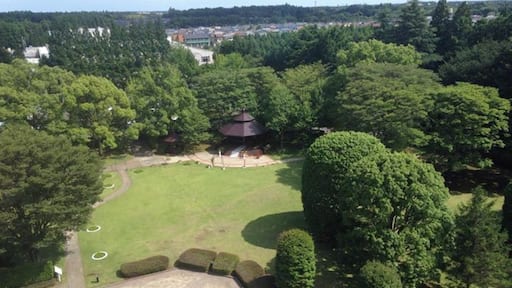 Made it to Toyko. Stayed at The Radisson Hotel for only 60.00 a night, They give you free rides to the airport,Narita City Mall and to Tokyo Train Station. Great free WI-FI that works good, pools everything you need for a few day stay. Must have been the slow season for the low price.