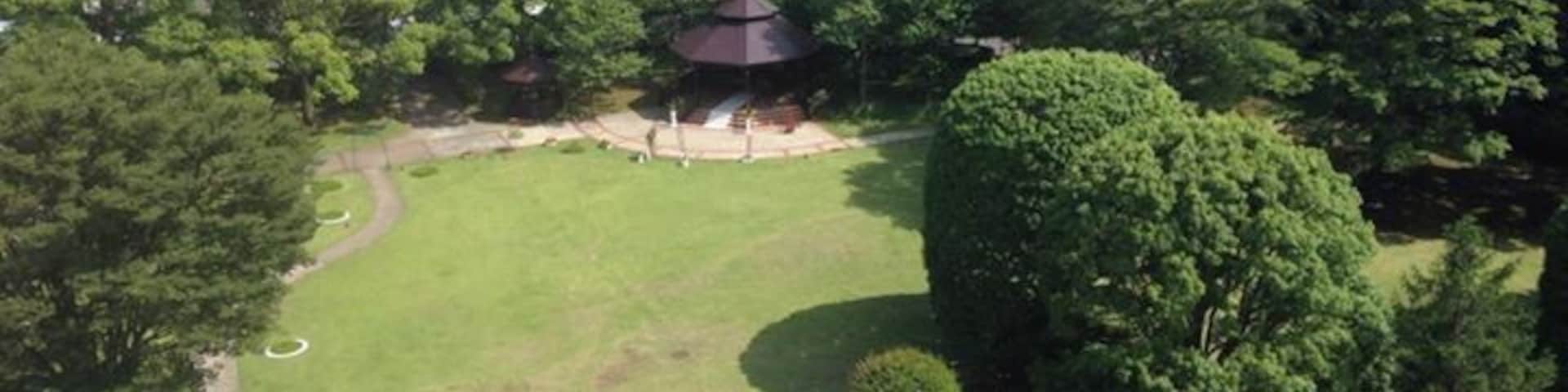 Made it to Toyko. Stayed at The Radisson Hotel for only 60.00 a night, They give you free rides to the airport,Narita City Mall and to Tokyo Train Station. Great free WI-FI that works good, pools everything you need for a few day stay. Must have been the slow season for the low price.