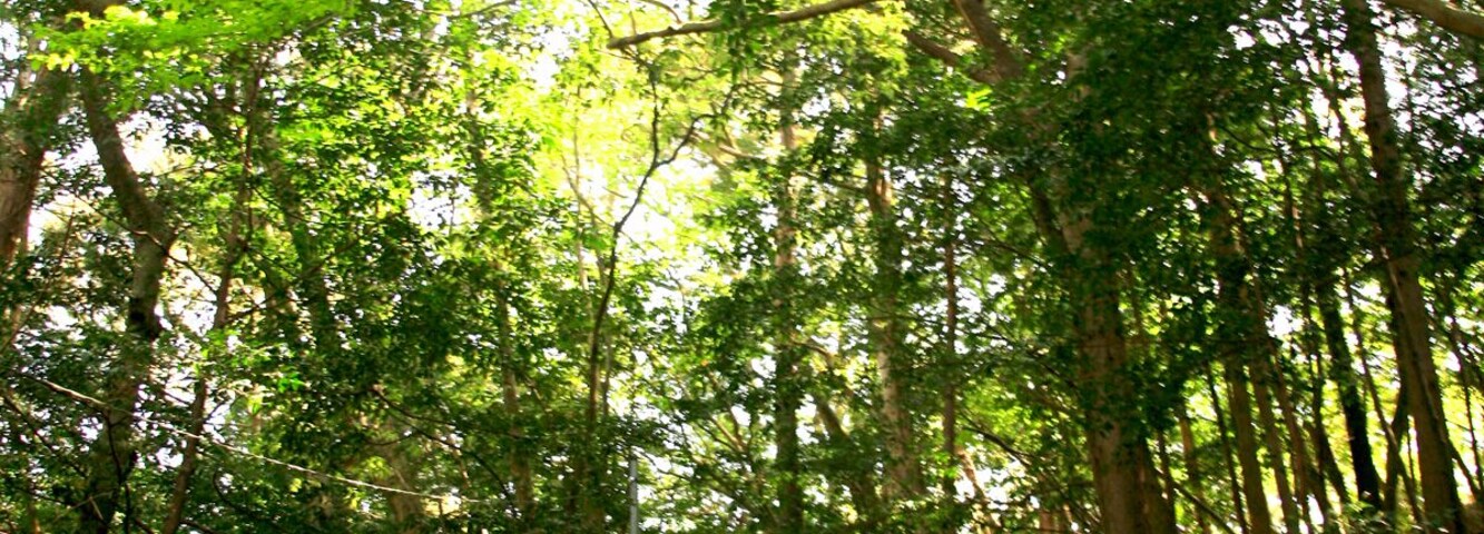 七保の八幡神社への上り階段
