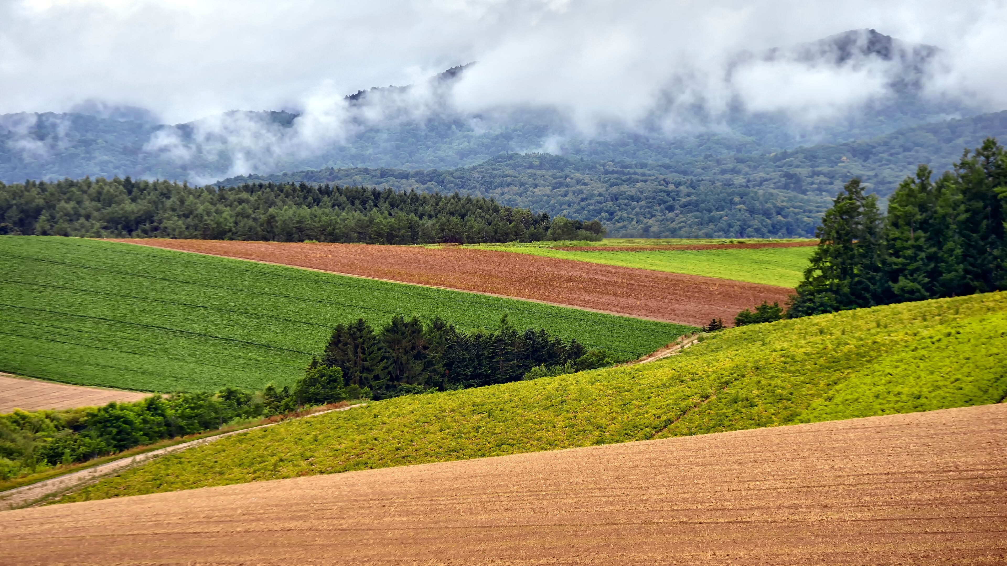 Rural landscape in JAPAN