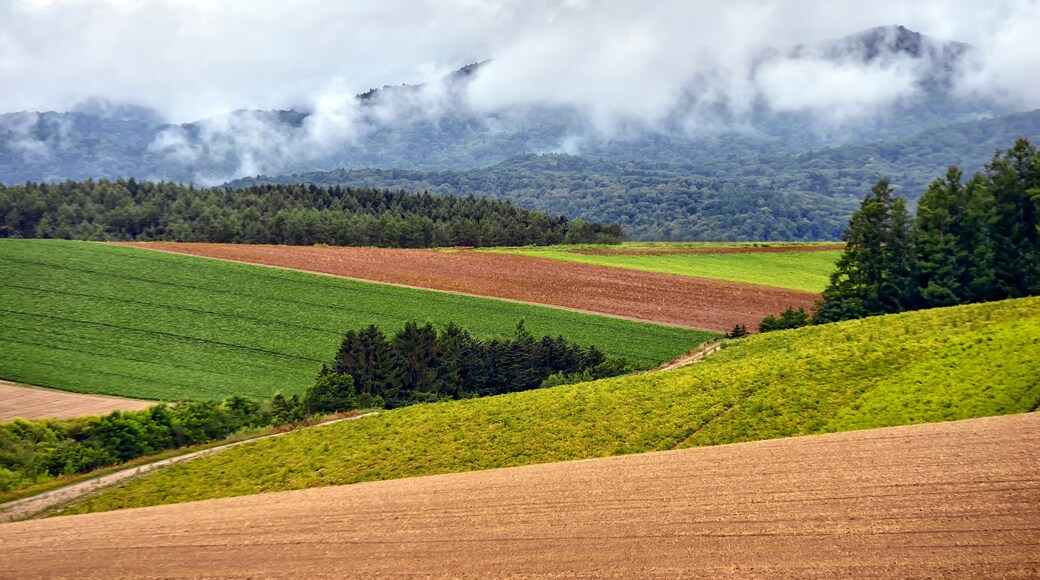 Rural landscape in JAPAN