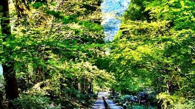 熊本県 三千段の石段