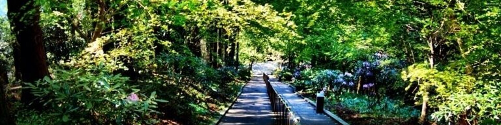 熊本県 三千段の石段