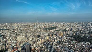 Tokyo skyline, Japan. Wonderful aerial view of city hi-rise skyscrapers