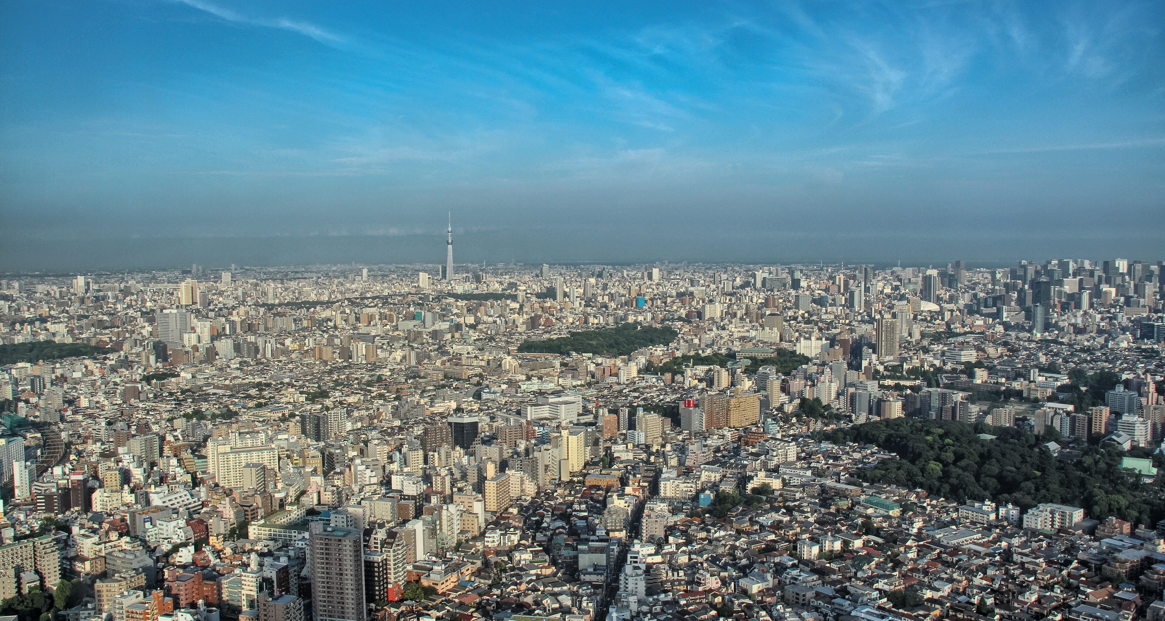 A panoramic view of a densely populated city with numerous buildings and a prominent tower in the distance.