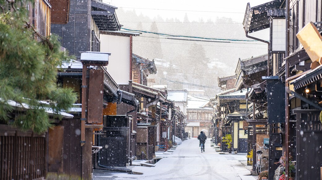 ทาคายามะ