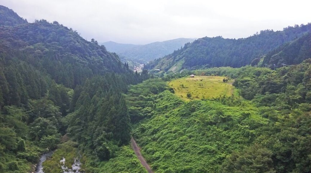 The view from Choshi Dam on Dogo, Oki Islands.