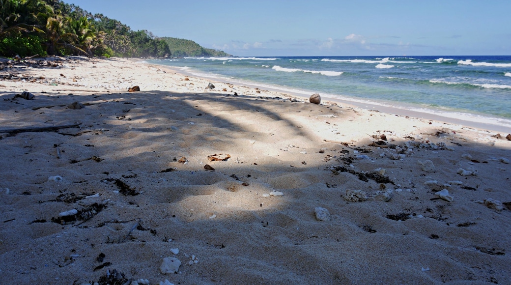 Baganga