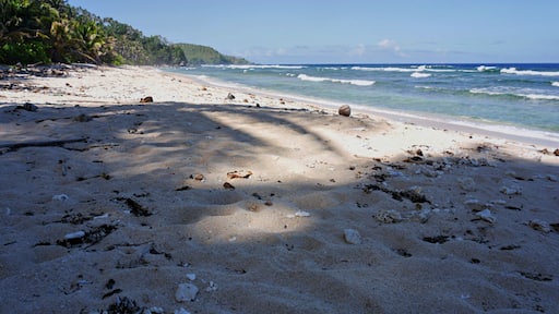 Pink Beach, Cape San Agustin, Davao Oriental Pink Beach in Cape San Agustin, Davao Oriental is a gem of a beach worth visiting in the southern Philippines.