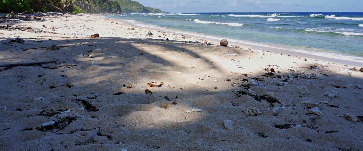 A beach with scattered debris, calm waves, and a clear sky.