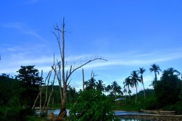 just spotted the place while on our way to a remote village in baganga as part of our medical outreach. #blue travel photo contest