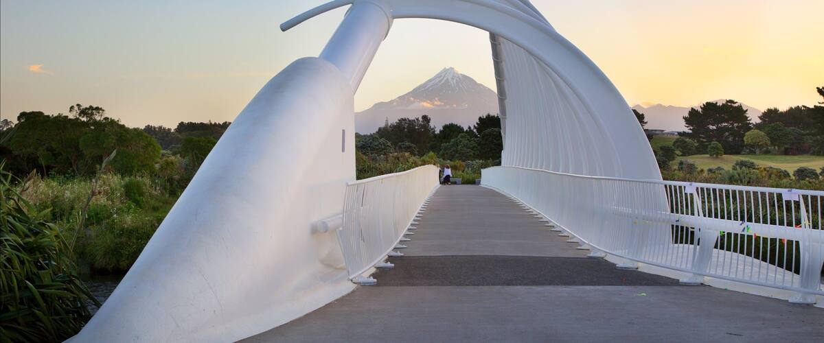 New Plymouth showing modern architecture, a bridge and mountains