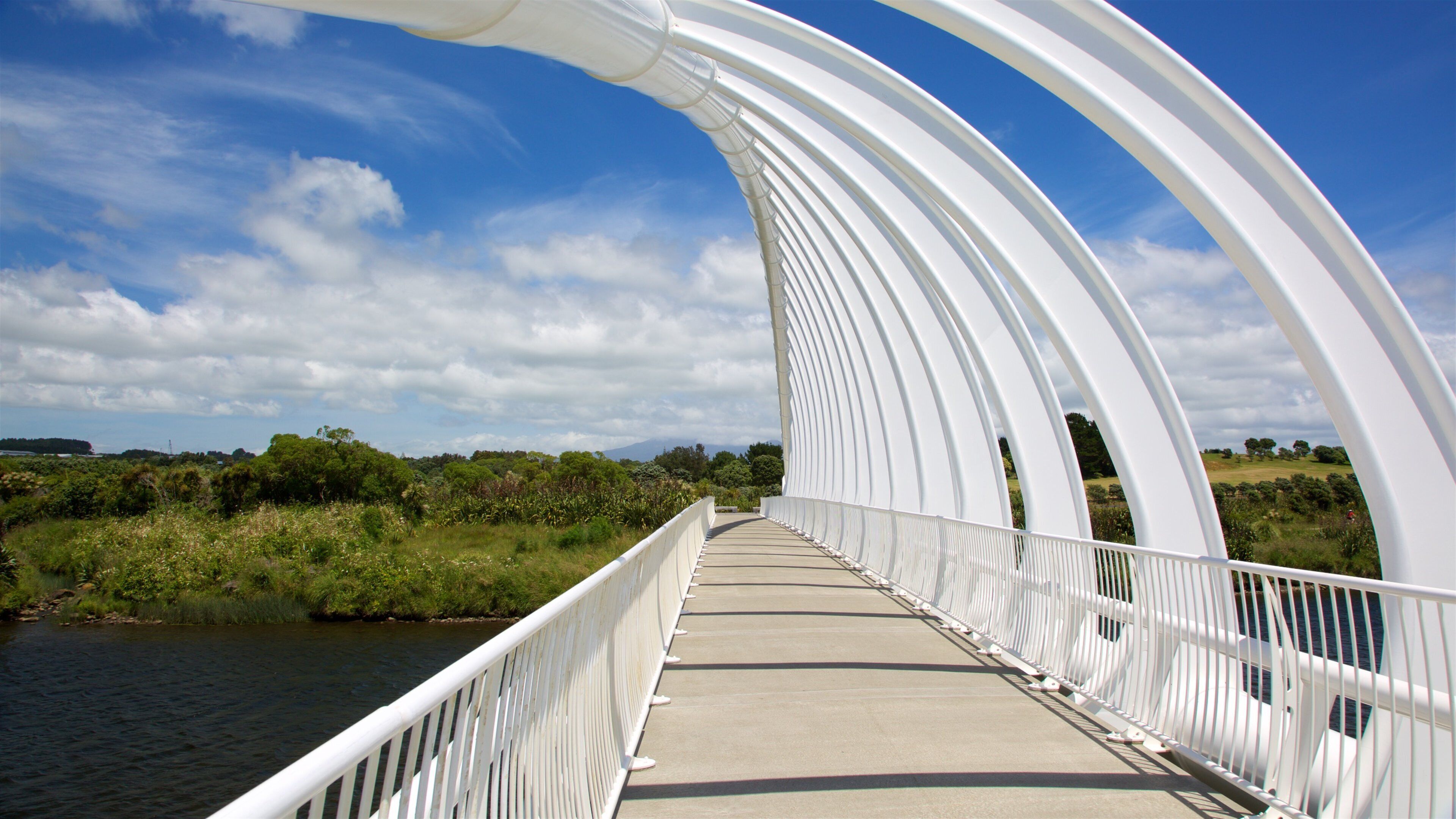 Te Rewa Rewa Bridge showing a bridge
