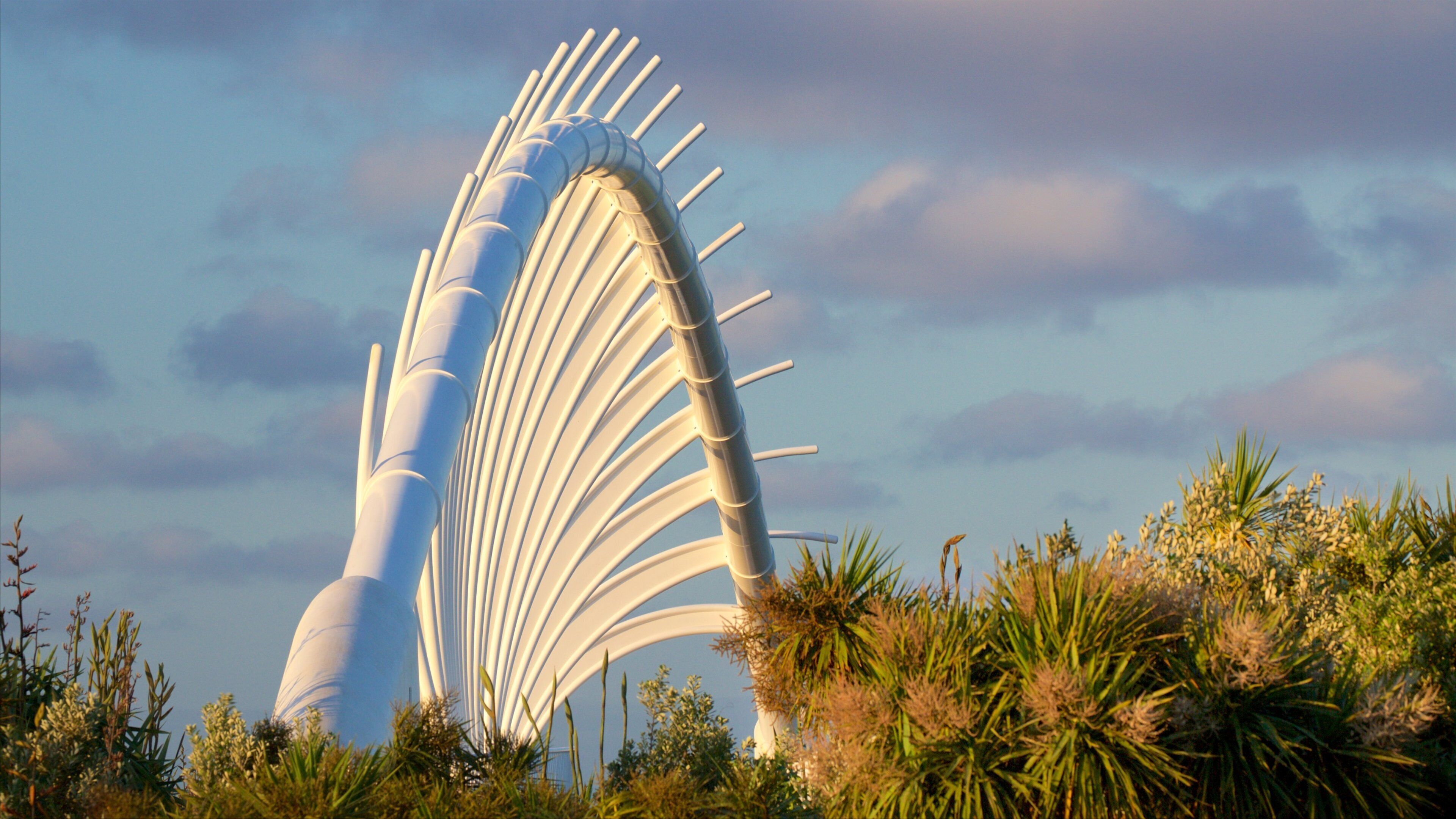 Te Rewa Rewa Bridge showing a sunset and a bridge