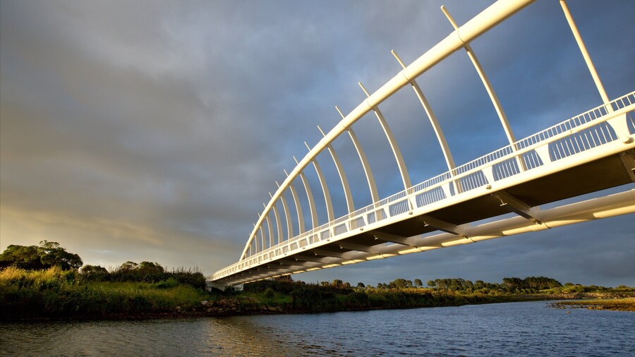Te Rewa Rewa Bridge featuring a river or creek, a sunset and a bridge