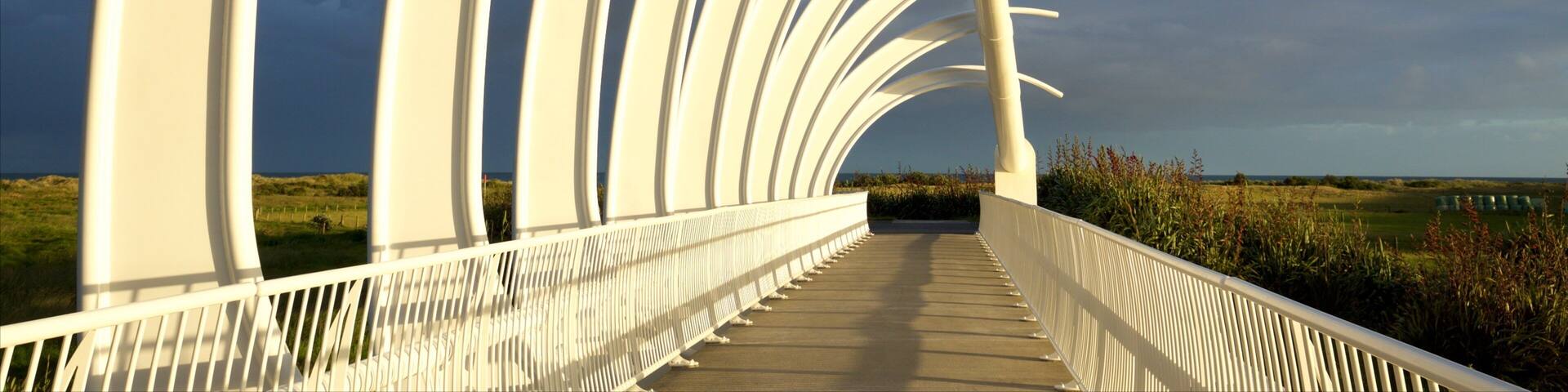 New Plymouth showing a sunset and a bridge