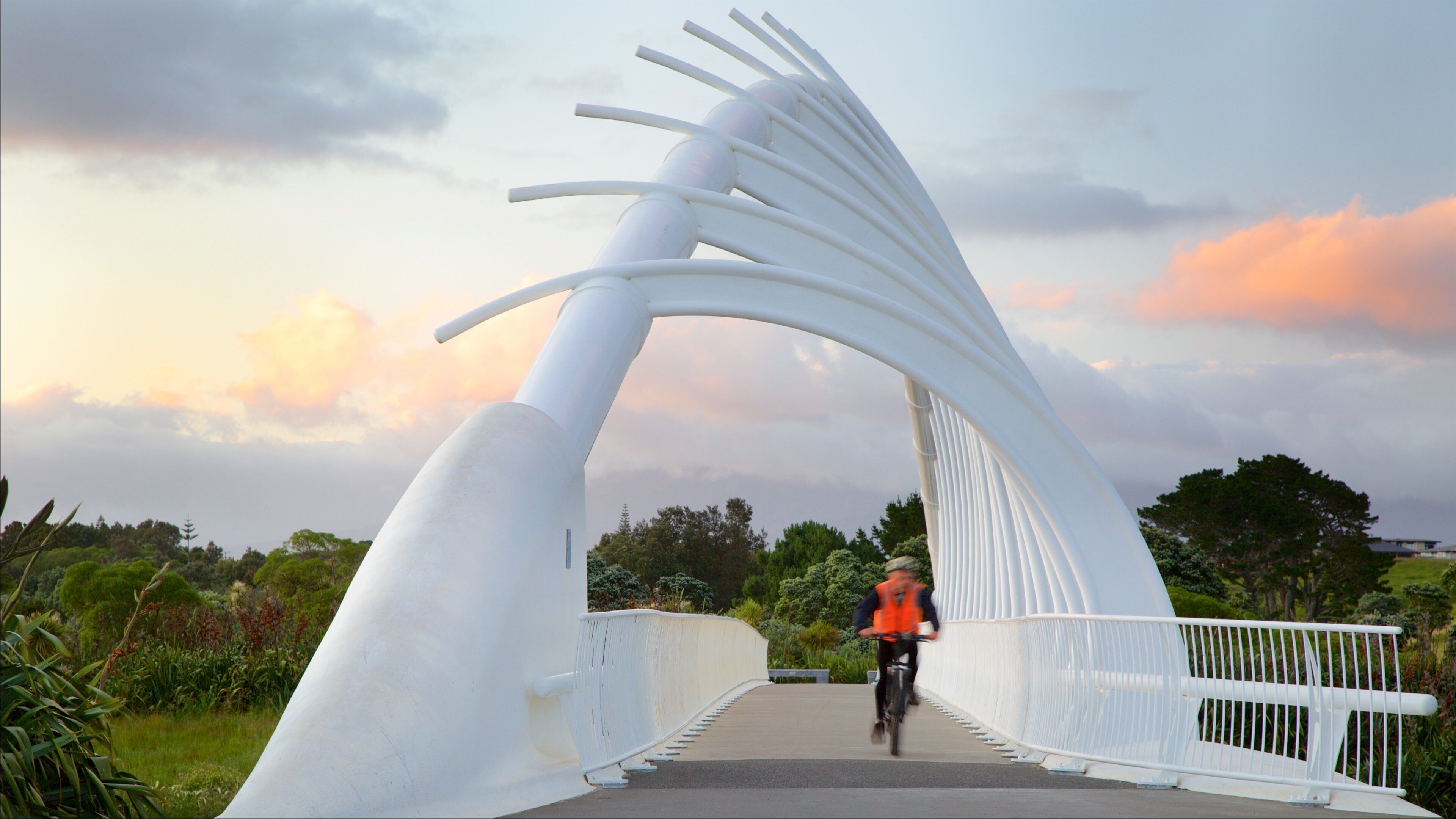 New Plymouth das einen Fahrradfahren, Sonnenuntergang und Brücke