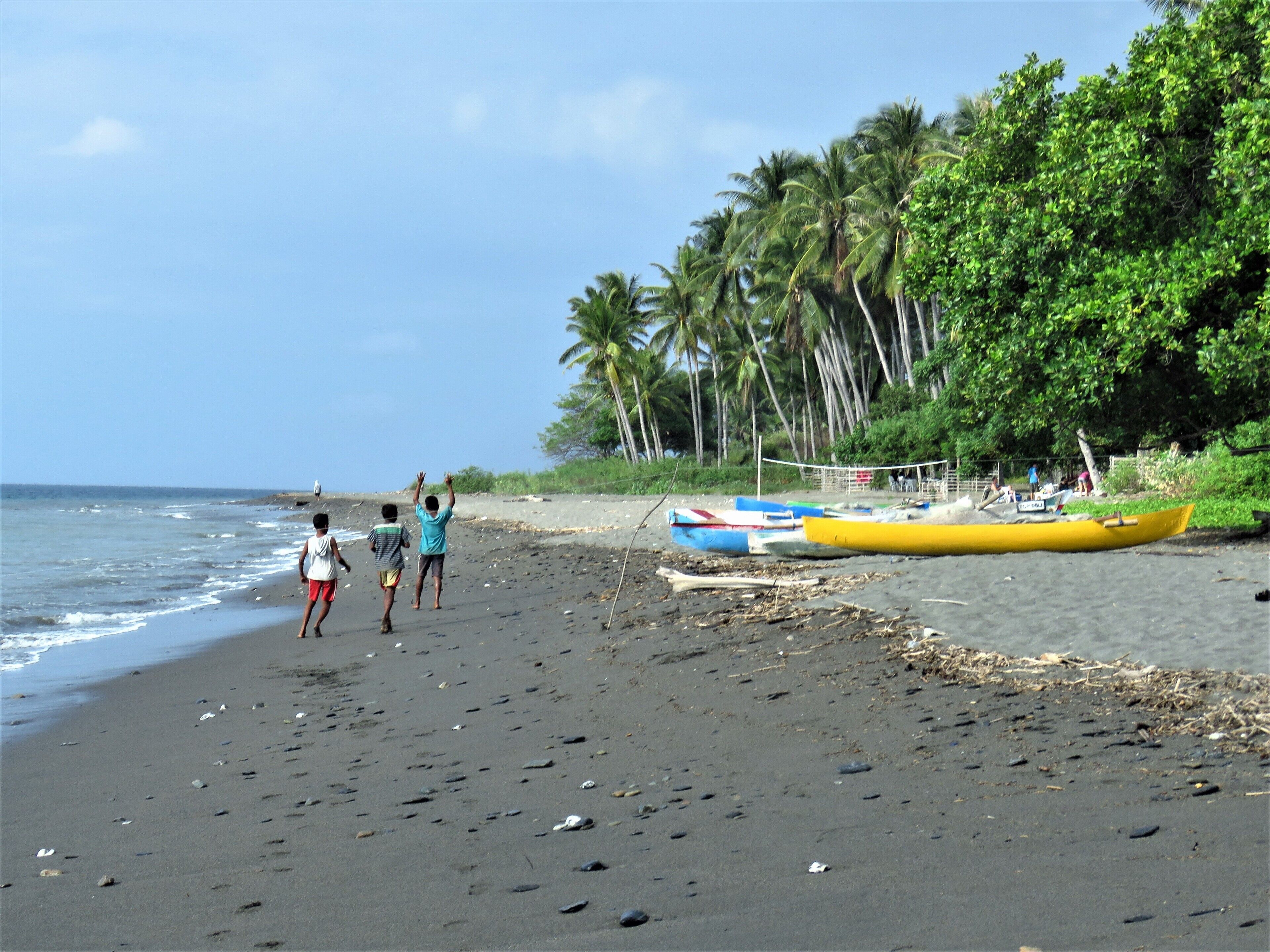 A beach with palm trees, a volleyball net, and a yellow canoe.