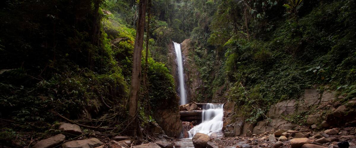 A waterfall cascading over rocks in a forested area.
