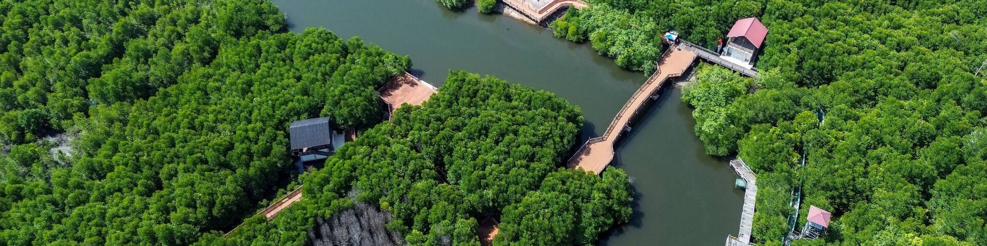 Aerial view of Langsa mangrove forest and winding river, Aceh, Indonesia