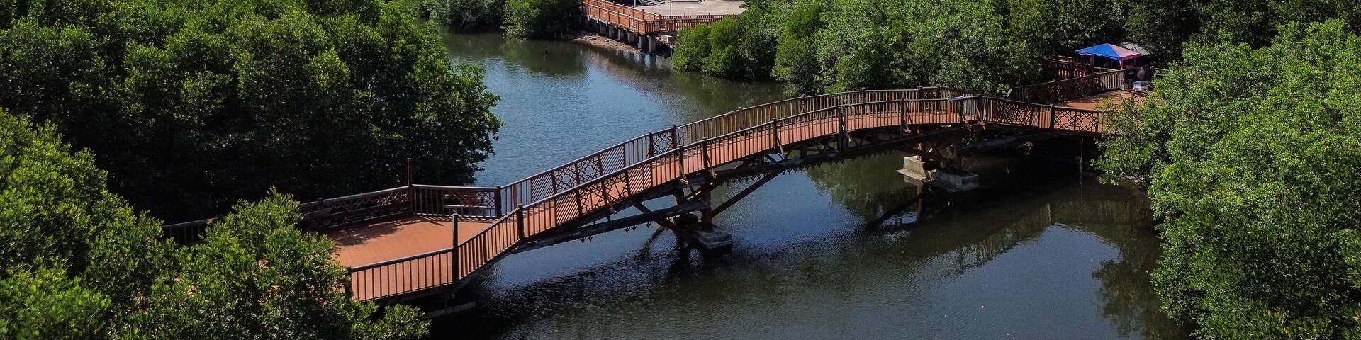 Aerial view of Langsa mangrove forest and winding river, Aceh, Indonesia
