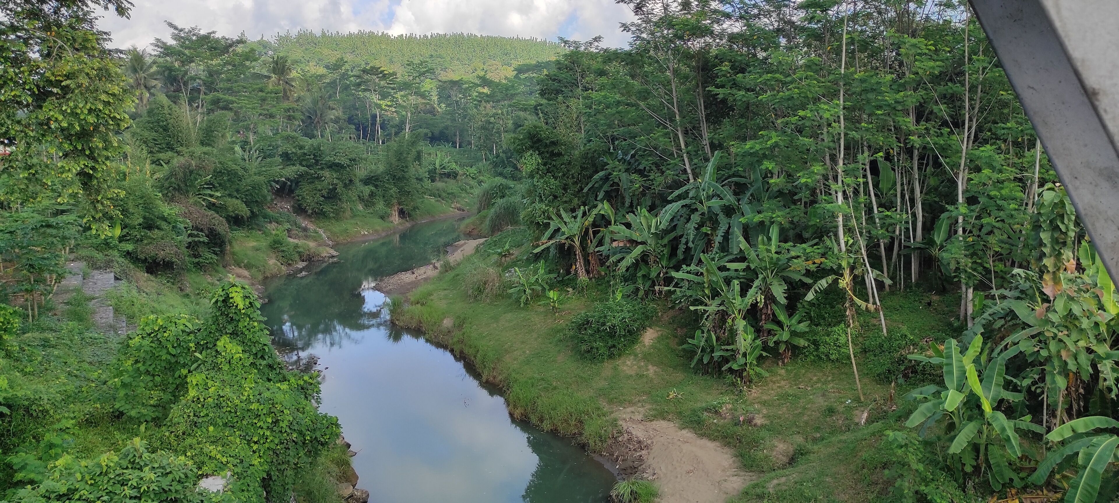 A river winding through a lush, green landscape with dense vegetation and trees.