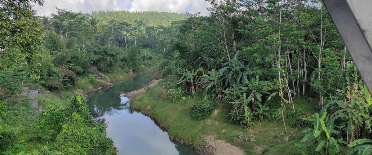 A river winding through a lush, green landscape with dense vegetation and trees.