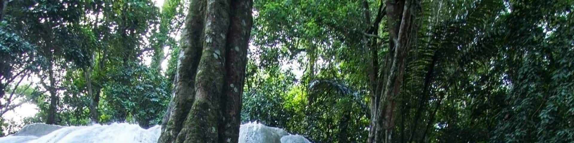 The right place for your whole day meditation #baubau #tirtarimba