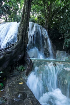 The right place for your whole day meditation #baubau #tirtarimba