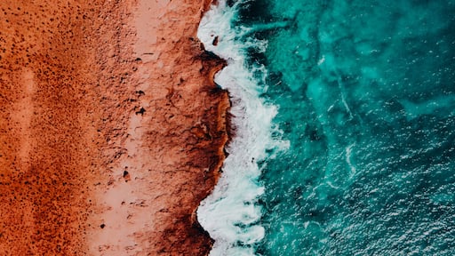 Un paysage cĂŽtier avec une plage de sable et des vagues turquoise.
