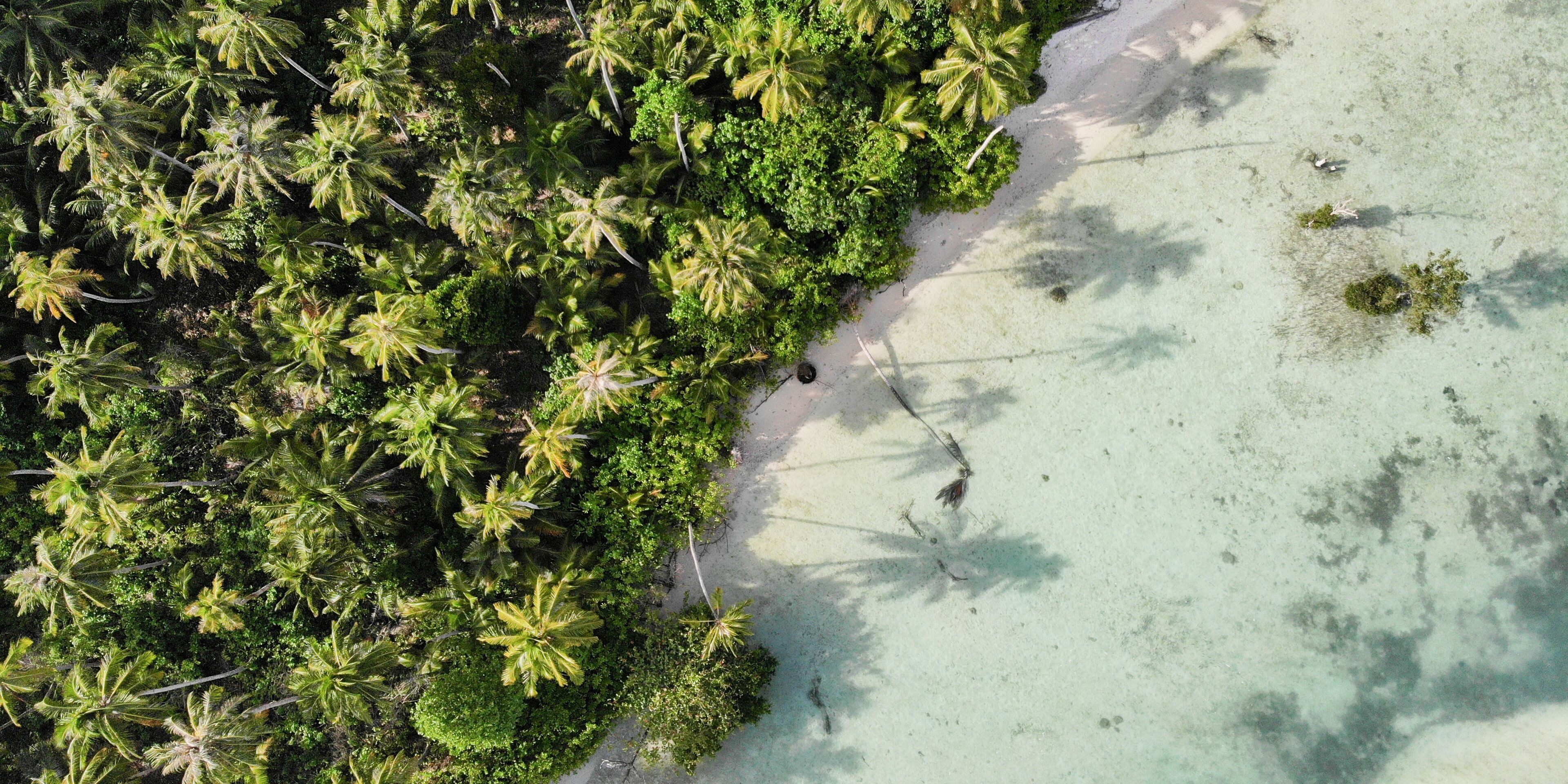 A drone shot from the beautiful nature of Mentawai islands, Sumatra, Indonesia. The combination of forest, palm trees, clear waters, reef corals and sand. 