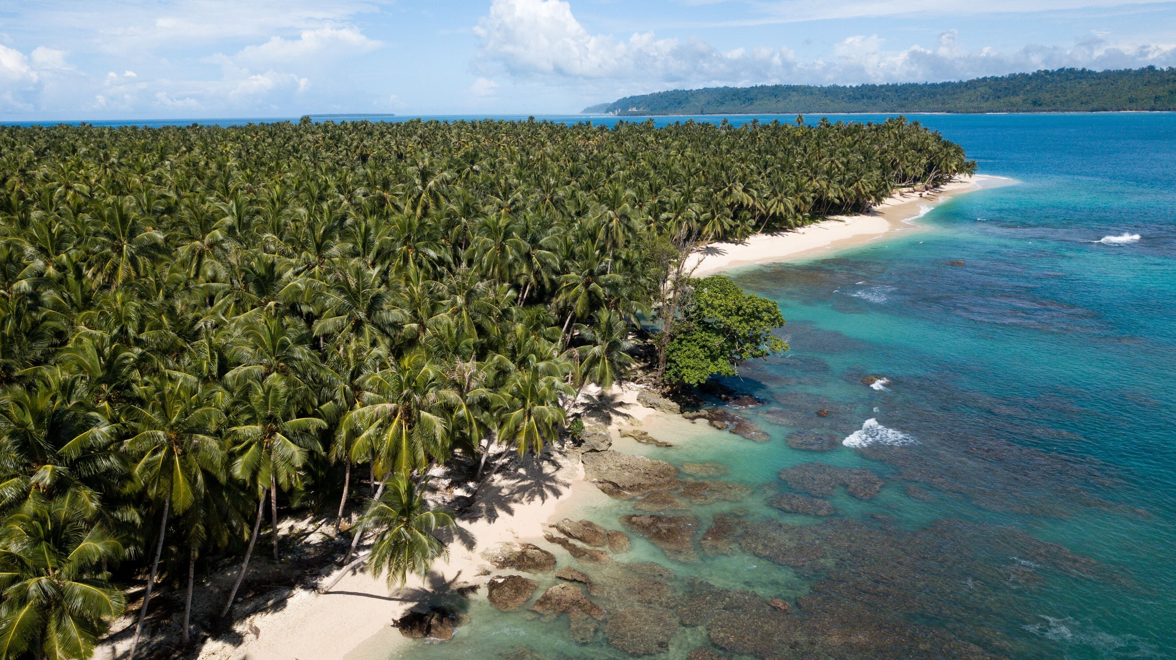 Aerial Drone Palm Trees Sandy Beach Tropical Island 