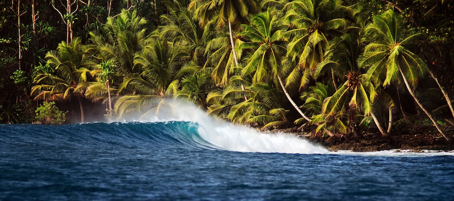 Wave crashing on reef with palm trees in the background. Mentawai Islands Indonesia