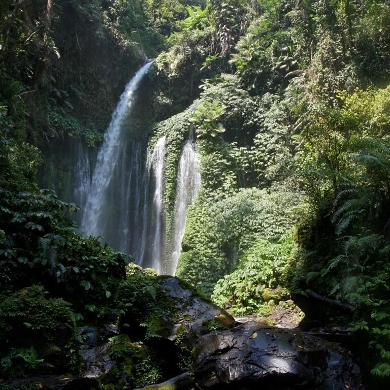 A waterfall surrounded by lush greenery.