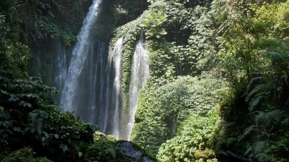 A waterfall surrounded by lush greenery.