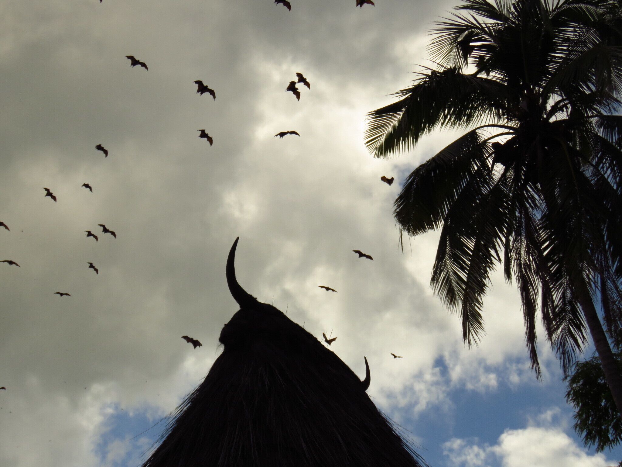 A thatched-roof structure with a curved roof, palm trees, and flying birds against a cloudy sky.