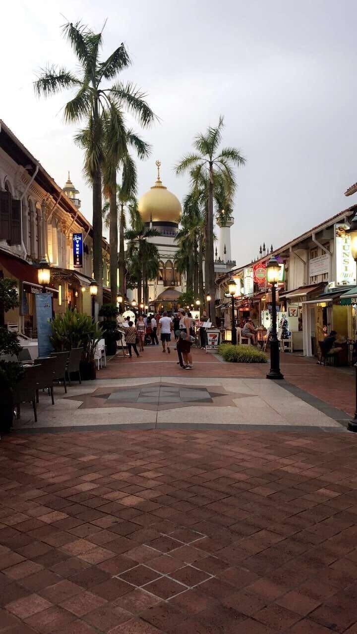 A pedestrian street lined with palm trees and buildings, featuring a prominent golden dome in the background.