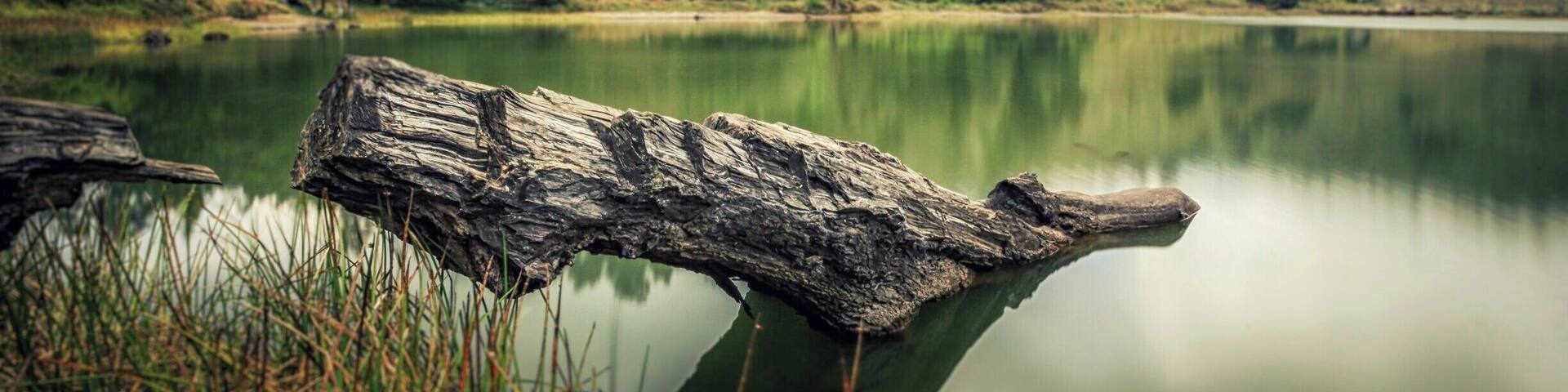 One of three hidden lakes in the Bromo Tengger Semeru mountain area, located at 2100 metres above sea level.
This lake is so quiet, serene and peaceful. On summer time, the temperature could reach -4 to 25 degrees celsius.
#landscape #lake #bromo #semeru #java